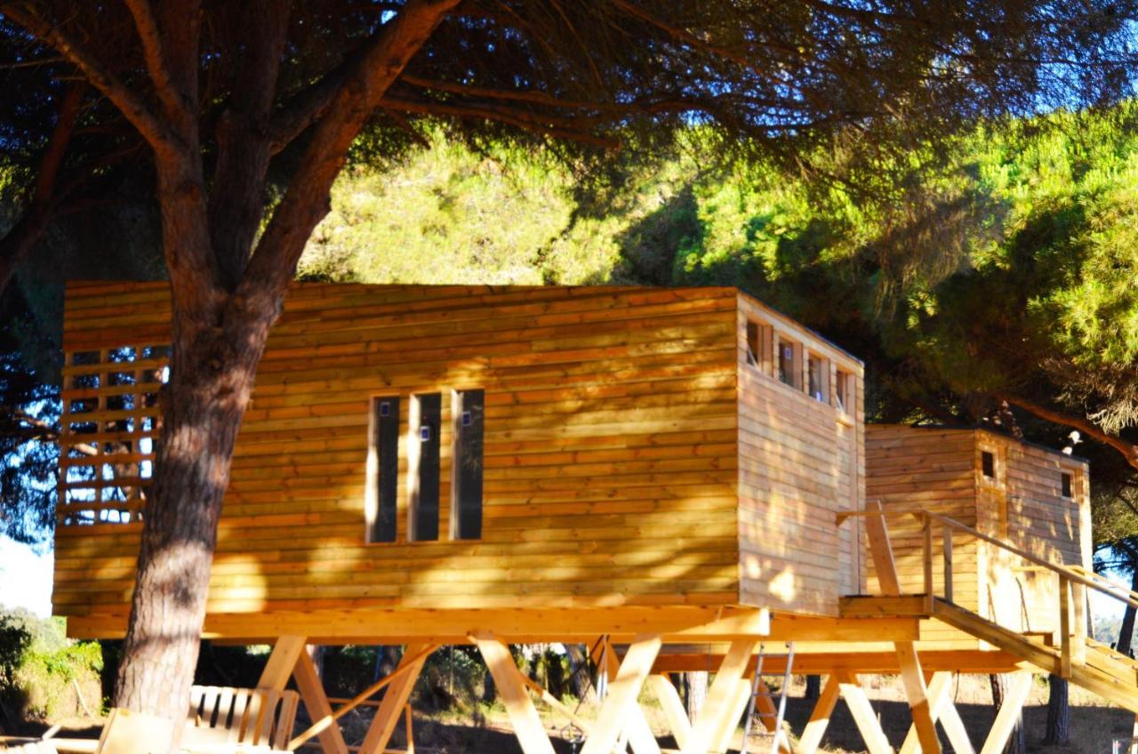 Lodge Micielo - Baumhaeuser