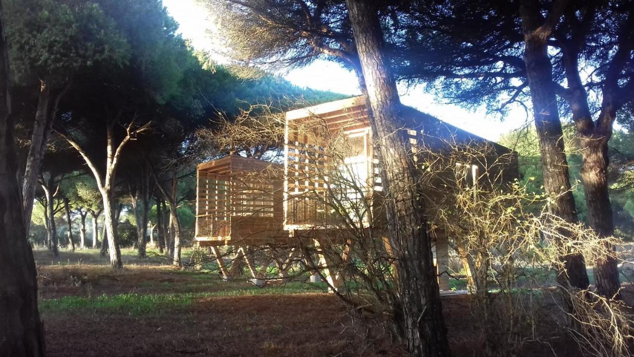 Lodge Micielo - Baumhaeuser Vejer de la Frontera