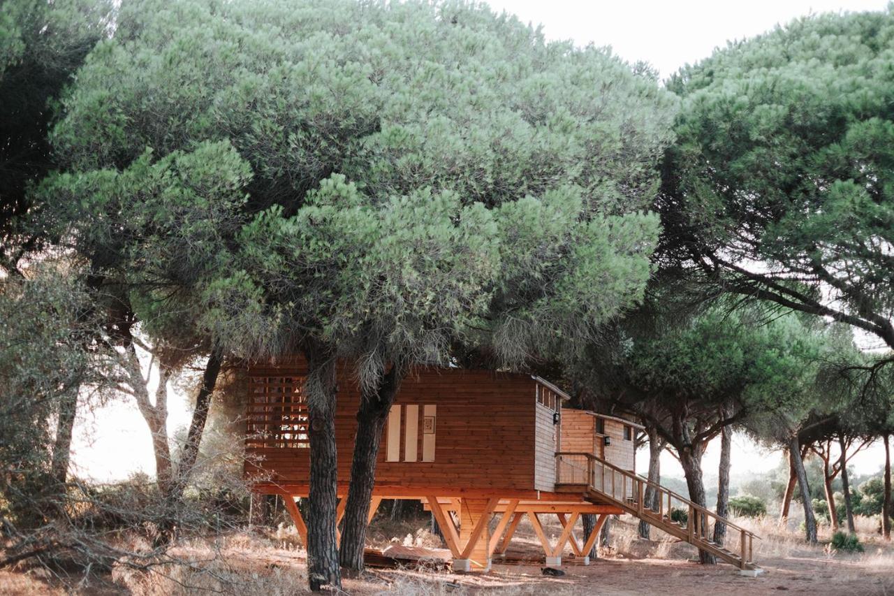Micielo - Baumhaeuser Lodge Vejer de la Frontera