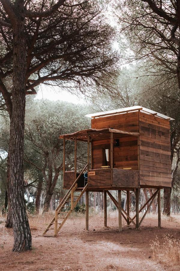 Lodge Micielo - Baumhaeuser