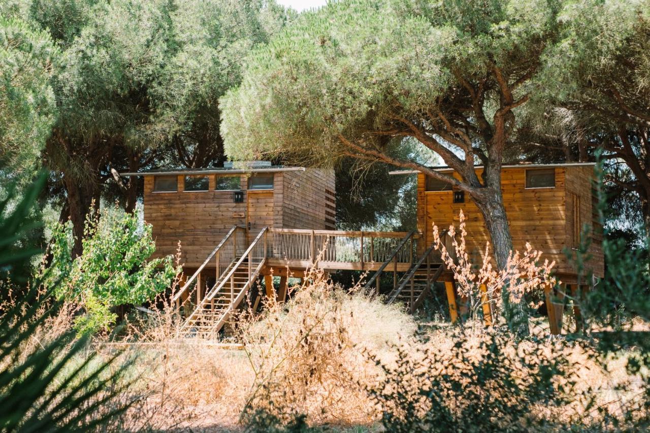 Lodge Micielo - Baumhaeuser *