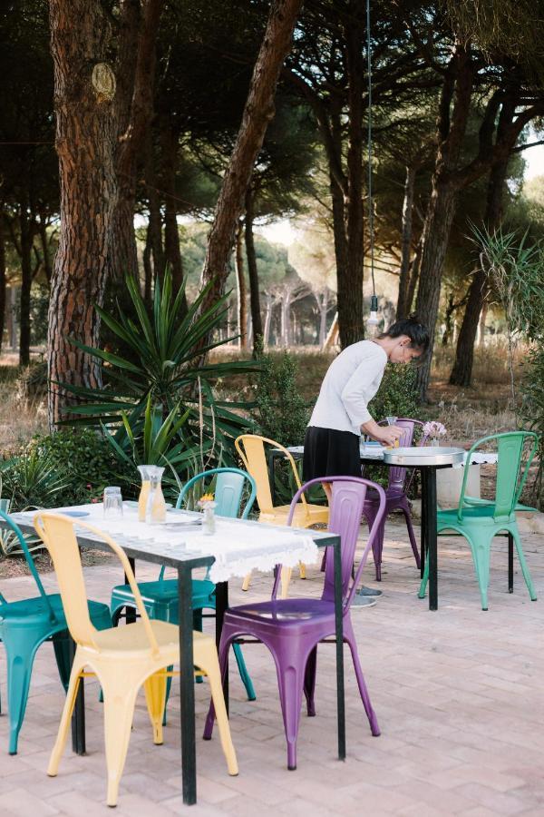 Lodge Micielo - Baumhaeuser Vejer de la Frontera
