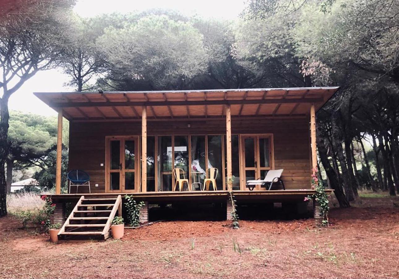 Lodge Micielo - Baumhaeuser