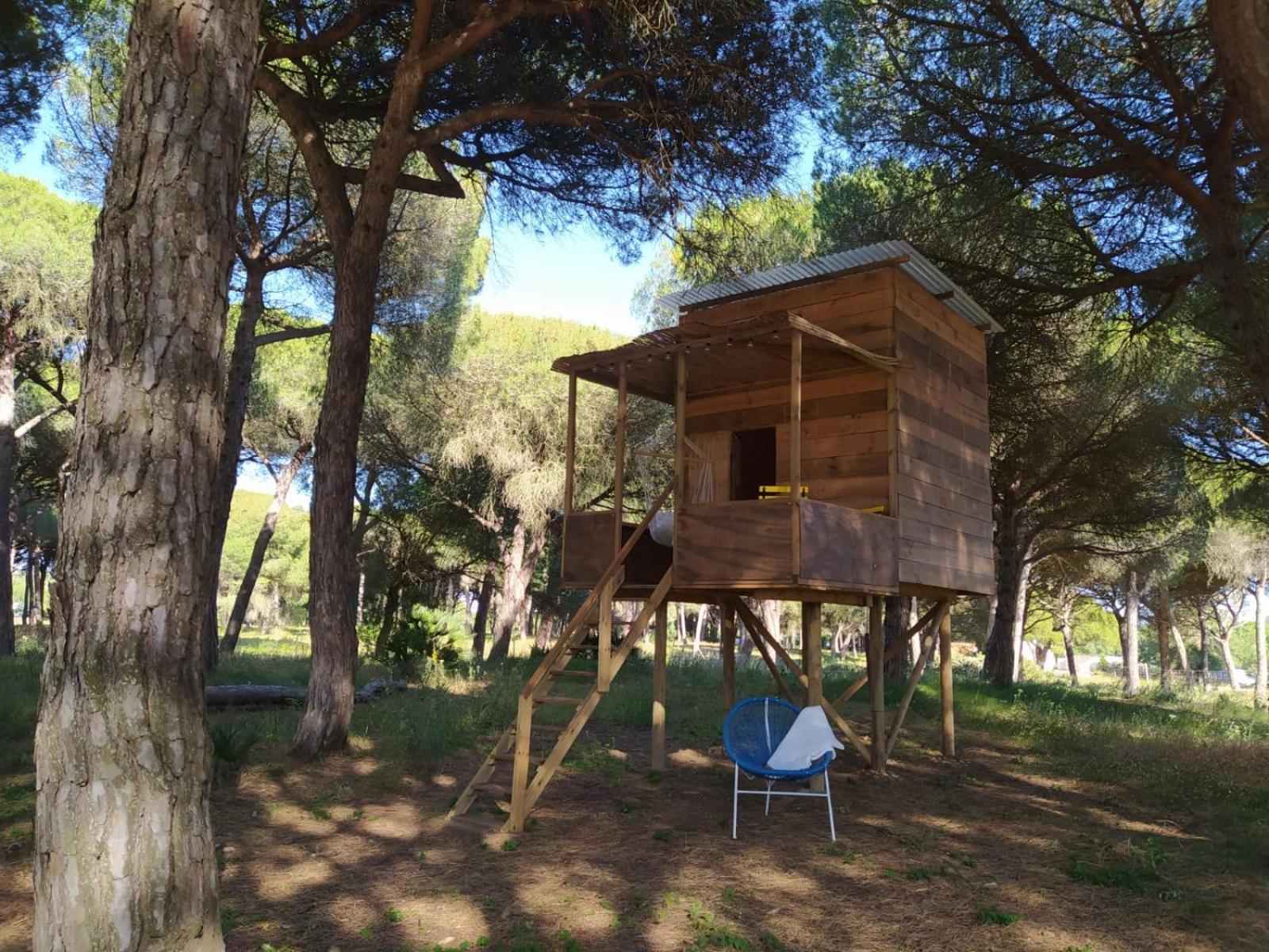 Lodge Micielo - Baumhaeuser